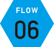 FLOW 06